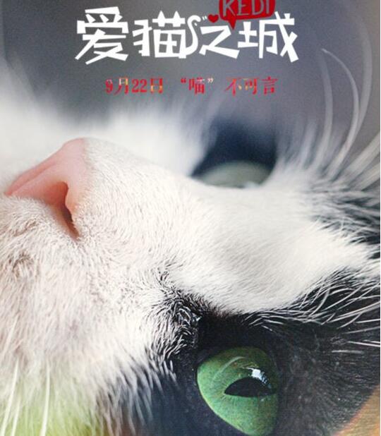 《爱猫之城》曝终极预告海报 可爱喵喵萌化中秋